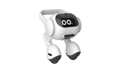 先睹為快 CES 2024上幾款令人驚艷的智能語(yǔ)音機(jī)器人新品
